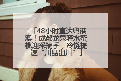 48小时直达粤港澳！成都龙泉驿水蜜桃迎采摘季，冷链提速“川品出川”